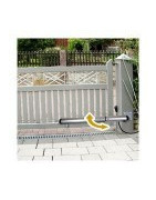 Koloss 3 NYK bis 2,5 m. Flügelbreite